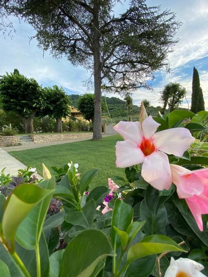 Bed and Breakfast Relais Maria Cristina Chianni Esterno foto